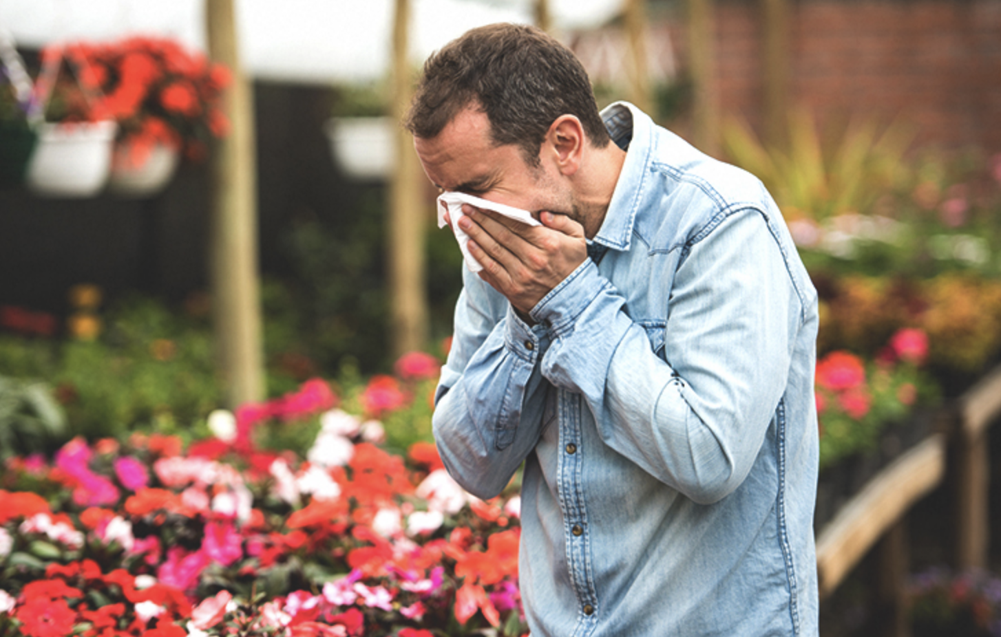 hay-fever-all-you-need-to-know-health-trending-hay-fever-fever