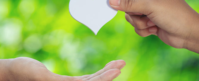 Organ Donation